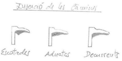 Saber conèixer com estan inserides les làmines al peu dels bolets serà molt important per la classificació