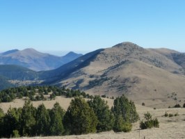 Prats i boscos amb herba cremada per la sequera